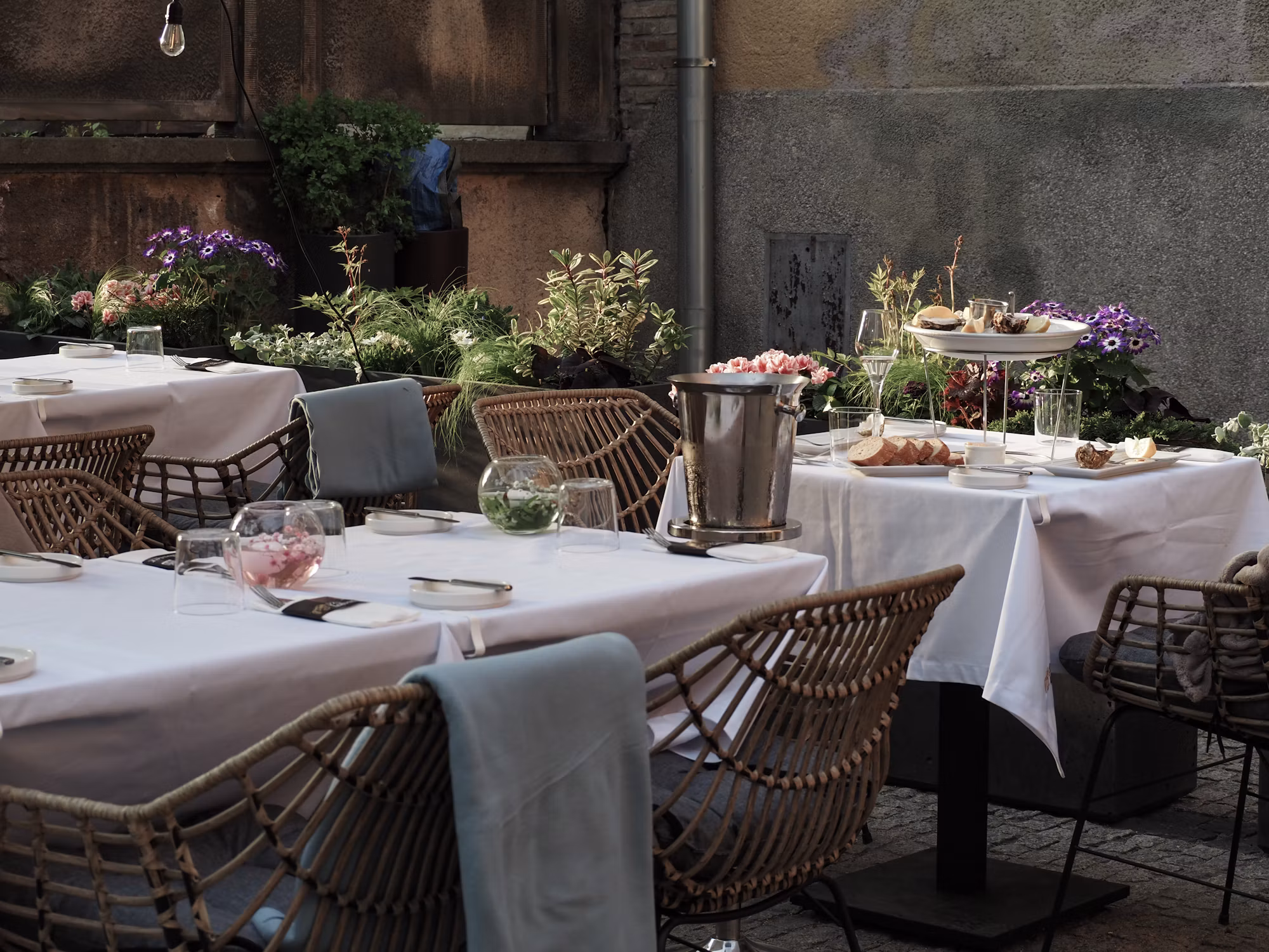 Exploring the World of Culinary Fusion: A Tasty Adventure